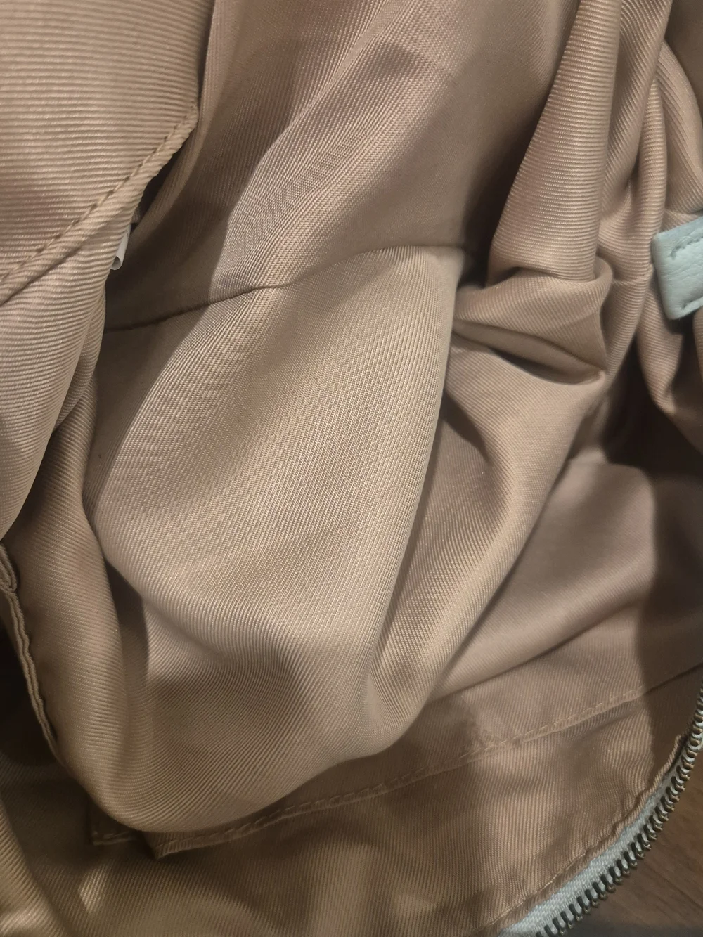The Sak Sequoia Pebbled Leather Hobo Bag/Purse Soft Mint Green